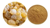 product-195-110 product-195-110
