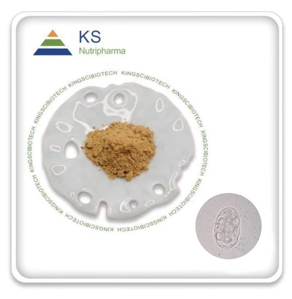 হুকওয়ার্ম নির্যাস