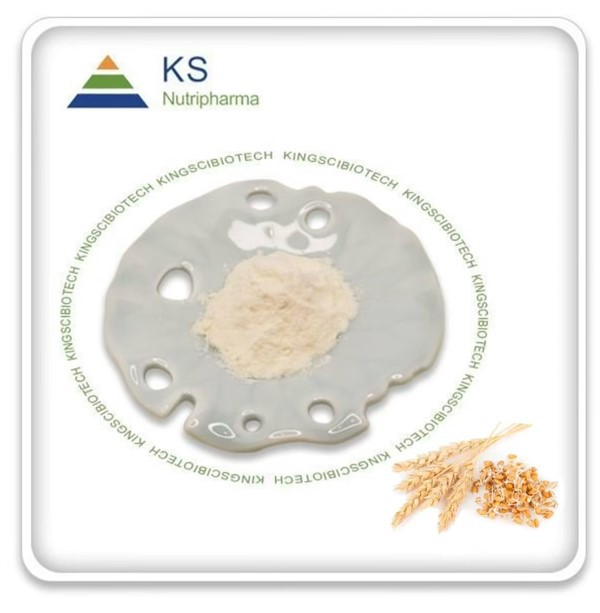 গমের জীবাণু নির্যাস পাউডার